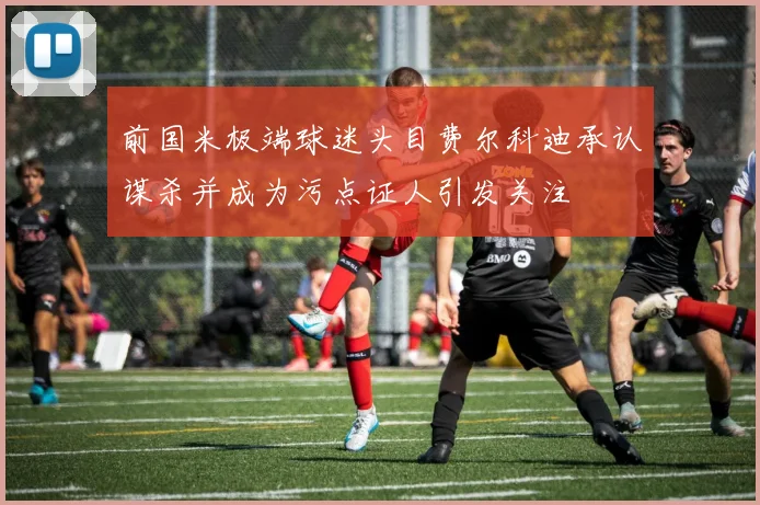 前国米极端球迷头目费尔科迪承认谋杀并成为污点证人引发关注